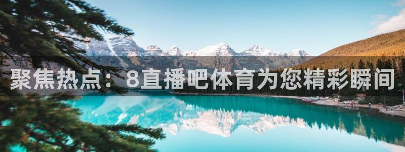 河豚体育直播在线观看：聚焦热点：8直播吧体育为您精彩瞬间