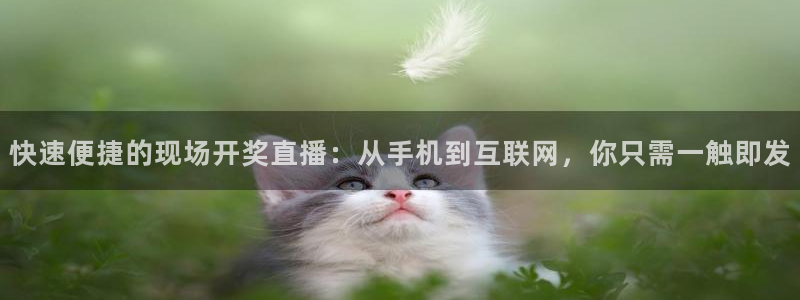 河豚体育足球直播：快速便捷的现场开奖直播：从手机到互联网，你只需一触即发