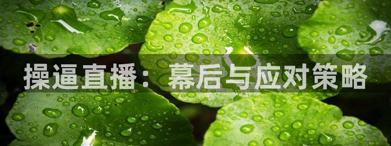 河豚篮球赛事直播：操逼直播：幕后与应对策略