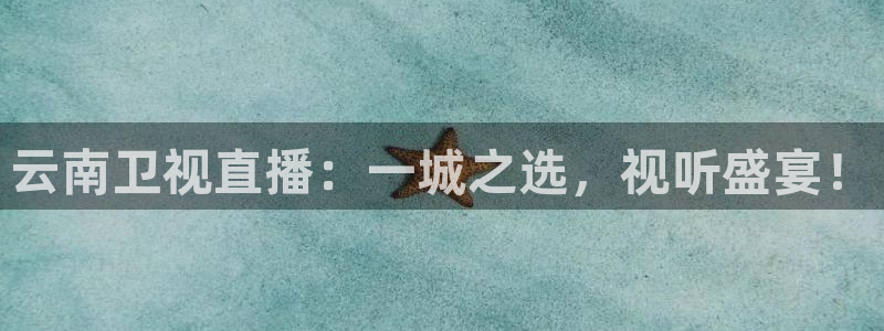 河豚足球体育直播：云南卫视直播：一城之选，视听盛宴！